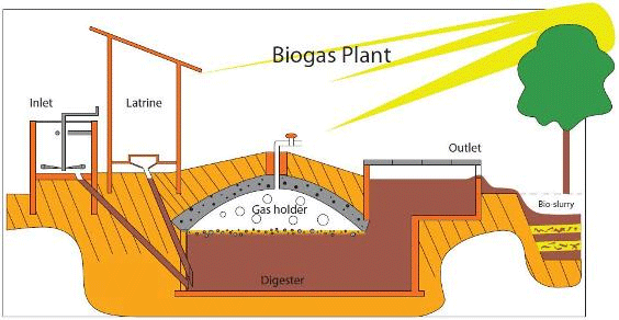 biogas plant bangla madhyamik class 10